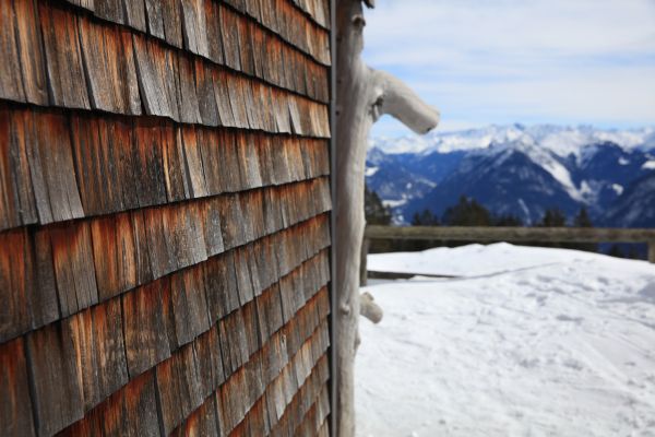 Cedar Siding Repair in San Jose