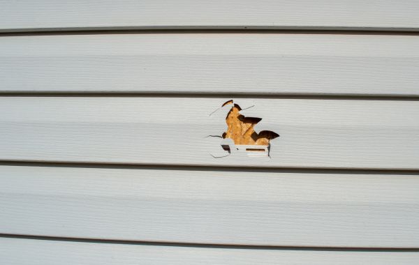 Siding Hole Patching in San Jose